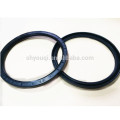 NBR/FKM Rubber Oil Seal Auto Engine Parts TC Gearbox Oil Seal Standard Oil Seal Ring Kit OEM